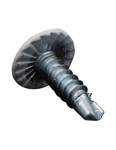 Autoperfurante cabeça redonda larga phillips dentado 4,2 x 16 Aço zinco branco RAL 9016