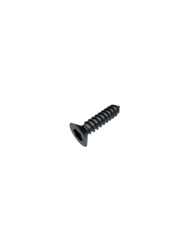 Parafuso de chapa cabeça fresada TORX T8 2,9 x 9,5 Aço zinco preto