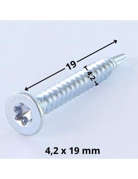 Autoperfurante cabeça fresada TORX T20 4,2X19 Aço zinco branco