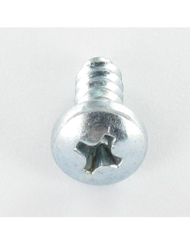 Parafuso de chapa cabeça abaulada larga Phillips 2 4,8X38 Aço zinco branco