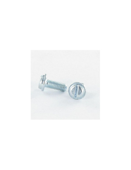 Parafuso de metais cabeça cilíndrica sulcada M3X6 TORX T10 Aço zinco branco microparafusos