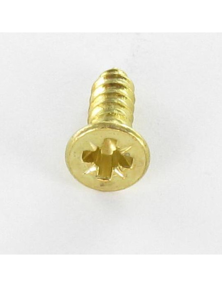 Parafuso de chapa cabeça fresada Pozi 3,9 x 13 Aço latonado