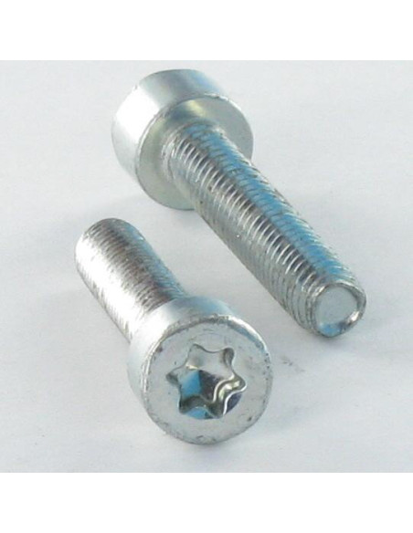 Parafuso autorroscante cabeça cilíndrica M4X25 TORX T20 Aço zinco branco