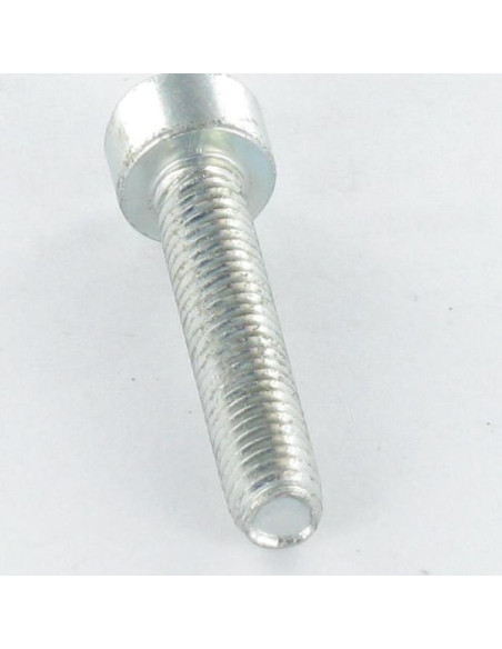 Parafuso autorroscante cabeça cilíndrica M4X25 TORX T20 Aço zinco branco