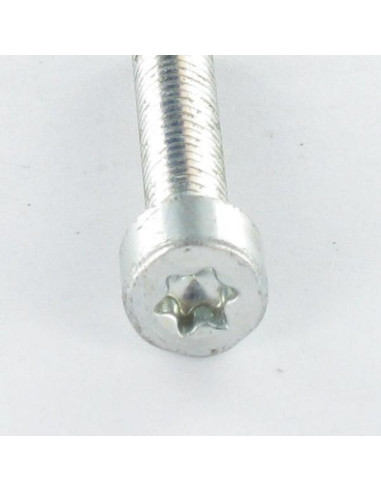 Parafuso autorroscante cabeça cilíndrica M5X12 TORX T25 Aço zinco branco
