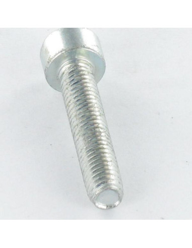 Parafuso autorroscante cabeça cilíndrica M5X12 TORX T25 Aço zinco branco