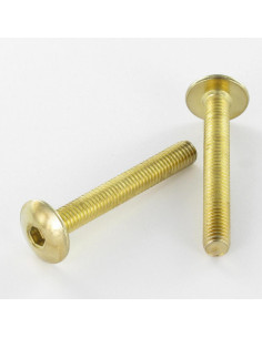 PARAFUSO cabeça de cogumelo M6X55 chave de 4 Aço latonado