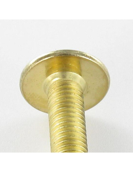 PARAFUSO cabeça de cogumelo M6X55 chave de 4 Aço latonado