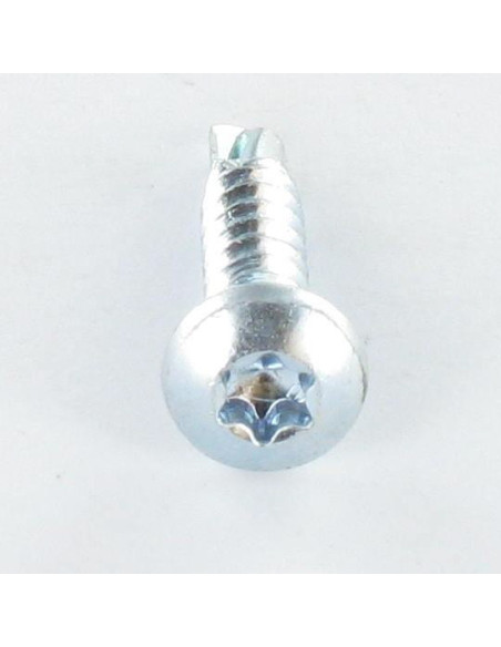 Autoperfurante cabeça cilíndrica panela 6,3X19 TORX T30 Aço zinco branco