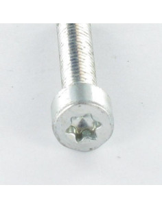 Parafuso autorroscante cabeça cilíndrica M4X12 TORX T20 Aço zinco branco 2