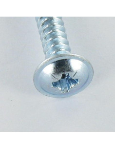 Parafuso de chapa cabeça de cogumelo Pozi 5,5 x 19 Aço zinco branco 2