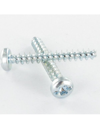 Parfuso de pvc cabeça cilíndrica TORX T25 /FEND 5X12 Perno 30 Aço zinco branco