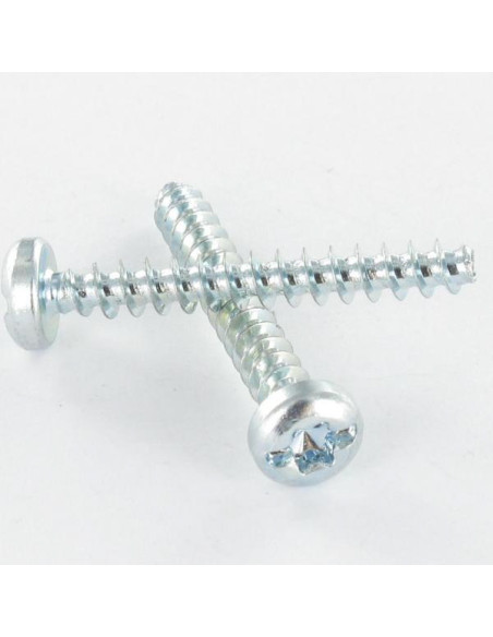Parfuso de pvc cabeça cilíndrica TORX T25 /FEND 5X12 Perno 30 Aço zinco branco