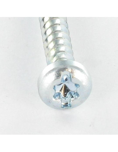 Parfuso de pvc cabeça cilíndrica TORX T25 /FEND 5X12 Perno 30 Aço zinco branco