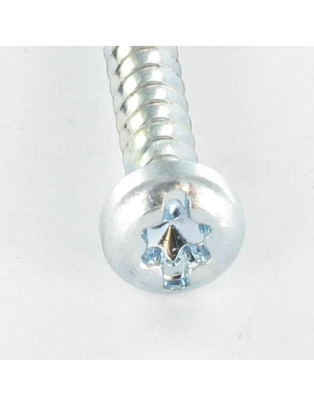 Parfuso de pvc cabeça cilíndrica TORX T25 /FEND 5X12 Perno 30 Aço zinco branco