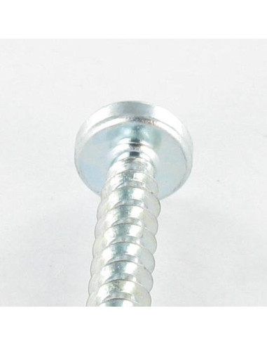 Parfuso de pvc cabeça cilíndrica TORX T25 /FEND 5X12 Perno 30 Aço zinco branco