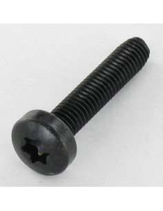 Parafuso autorroscante cabeça abaulada larga M5X16 TORX T25 Aço zinco preto