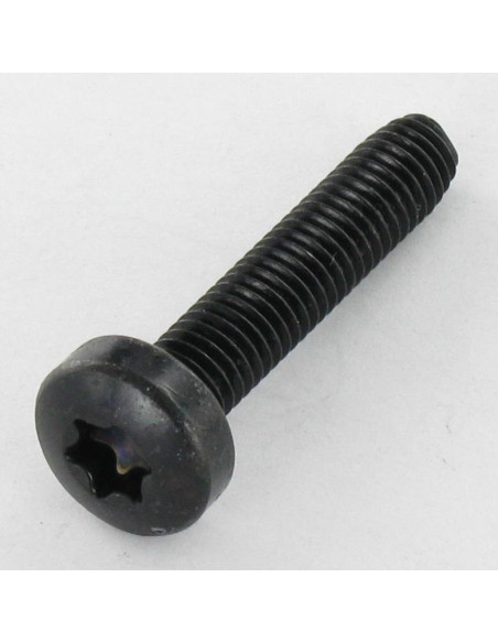 Parafuso autorroscante cabeça abaulada larga M5X16 TORX T25 Aço zinco preto