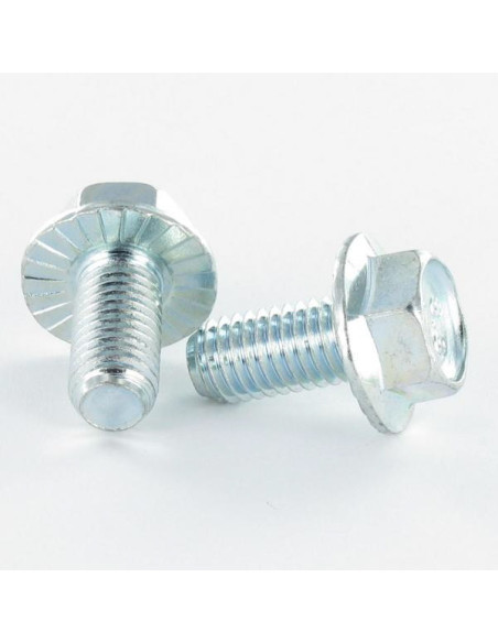 Parafuso de metais cabeça hexagonal M6X8 Aço zinco branco flange com gola serrilhada