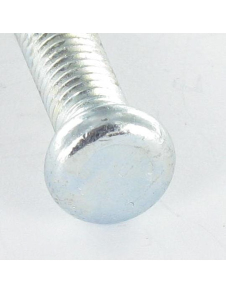 Parafuso de metais cabeça cilíndrica não ranhurada M6X28 1 Ergot Aço zinco branco