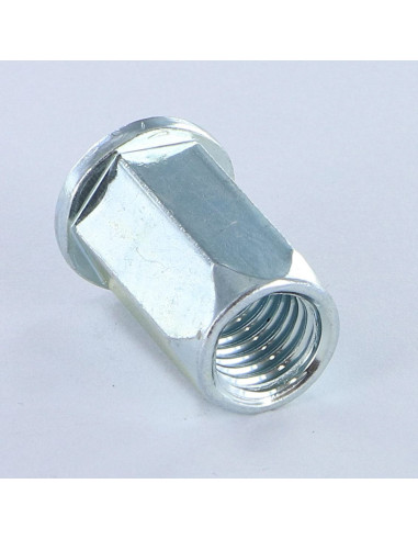 Porcas Rebite hexagonal cabeça plana M6X13.3 ACPTH 30 Aço zinco branco