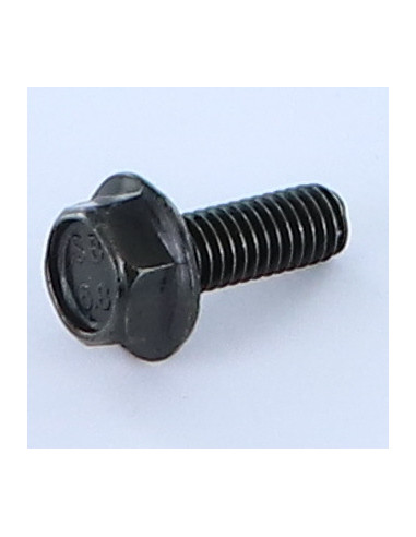 Parafuso de metais cabeça hexagonal M6X16 roscado sobre 12 flange com gola serrilhada 16 Aço bruto