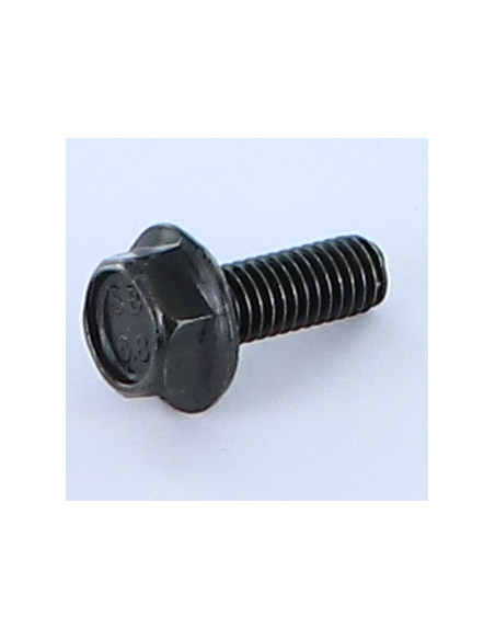 Parafuso de metais cabeça hexagonal M6X16 roscado sobre 12 flange com gola serrilhada 16 Aço bruto