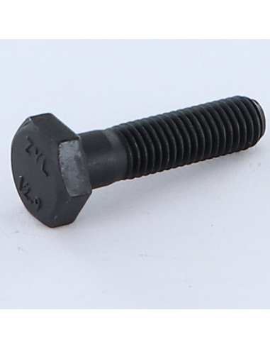 Corpo de parafuso cabeça hexagonal M10X45 Classe 12.9 Aço bruto