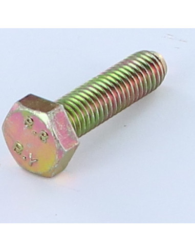 Parafuso de metais cabeça hexagonal M10X25 Classe 8.8 Dicromato