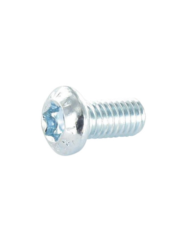 Parafuso de metais cabeça panela TORX T20 M4X8 Classe 8.8 Aço zinco branco