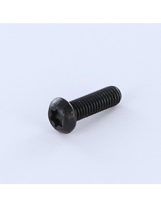 Parafuso de metais cabeça panela TORX T40 8X25 8.8ZNN480HBSSRR
