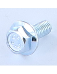 Parafuso de metais cabeça hexagonal M6X16 flange com gola serrilhada Classe 8.8 Aço zinco branco