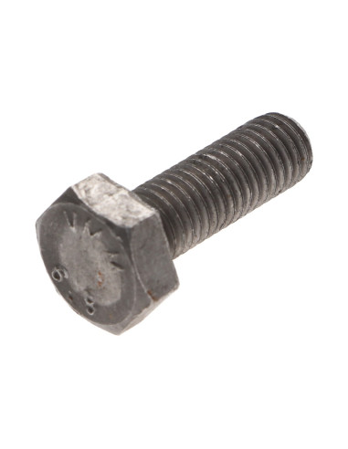 Parafuso de metais cabeça hexagonal M2X6 Aço bruto