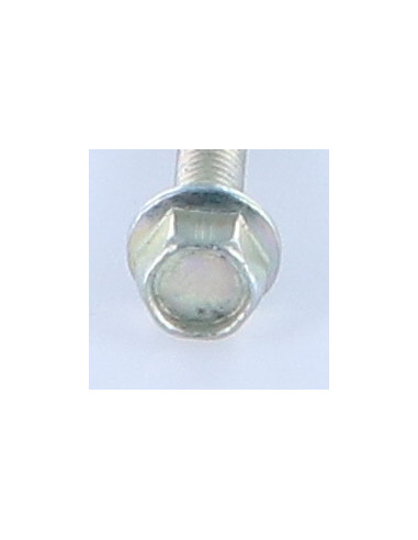 Parafuso de metais cabeça hexagonal M6X40 Aço zinco branco flange com gola serrilhada