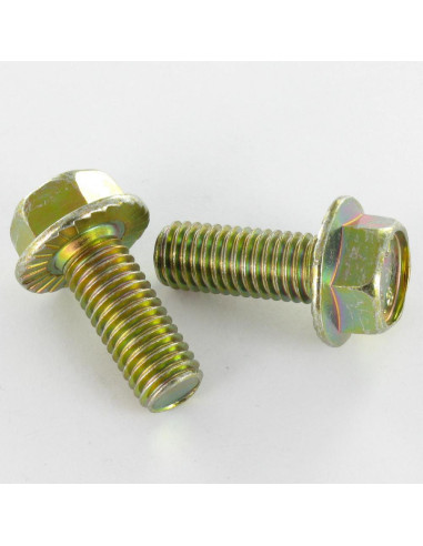 Parafuso de metais cabeça hexagonal M6X8 flange com gola serrilhada Classe 8.8 Dicromato