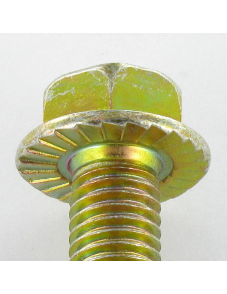 Parafuso de metais cabeça hexagonal M6X8 flange com gola serrilhada Classe 8.8 Dicromato