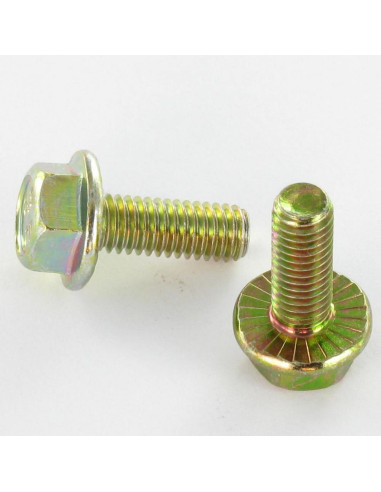 Parafuso de metais cabeça hexagonal M6X8 flange com gola serrilhada Classe 8.8 Dicromato