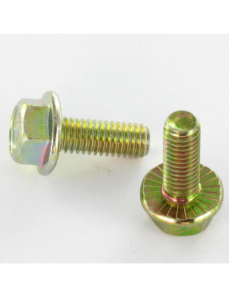 Parafuso de metais cabeça hexagonal M6X8 flange com gola serrilhada Classe 8.8 Dicromato