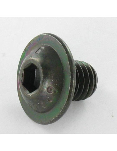 Parafuso de metais Parafuso de Cabeça Oca Sextavada flange com gola M6X12 chave de 4 classe 10.9 Aço bruto