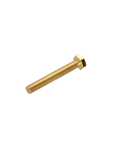 Parafuso de metais Bronze cabeça hexagonal M10X70