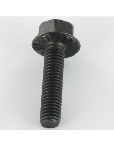 Parafuso de metais cabeça hexagonal M8X30 Aço zinco preto flange com gola serrilhada