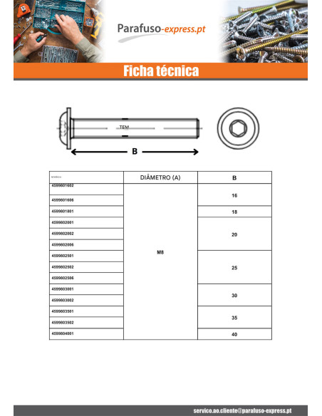 Parafuso de metais Parafuso de Cabeça Oca Sextavada flange com gola M10X20 chave de 6 classe 10.9 Aço zinco branco