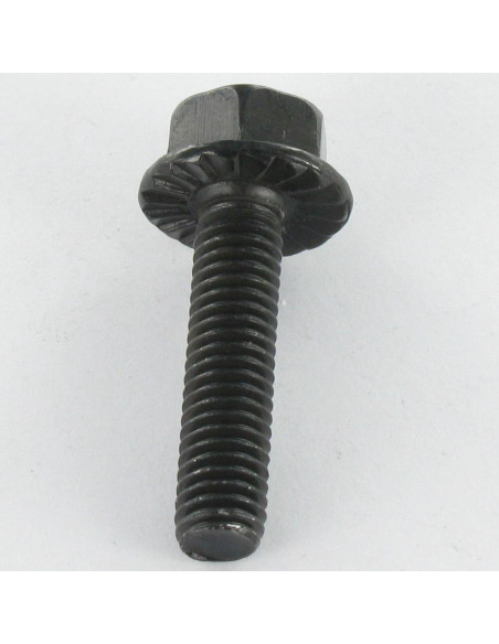Parafuso de metais cabeça hexagonal M6X12 Aço zinco preto flange com gola serrilhada