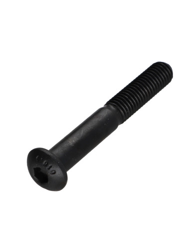 Parafuso de metais Parafuso de Cabeça Oca Sextavada M10X70 FP10.9 chave de 6 Aço bruto