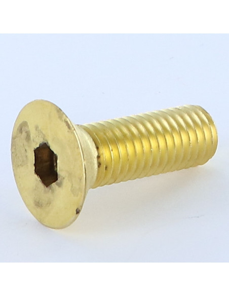 Parafuso de metais Bronze chave de 6 cabeça fresada hexagonal oca FHC M10X30