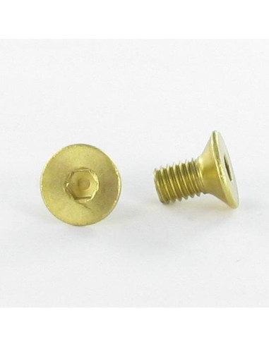 Parafuso de metais Bronze chave de 4 cabeça fresada hexagonal oca FHC M6X10