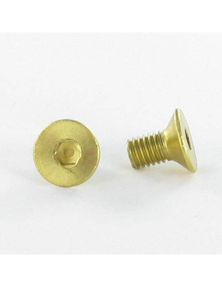 Parafuso de metais Bronze chave de 4 cabeça fresada hexagonal oca FHC M6X10