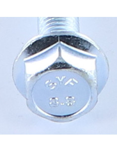 Parafuso de metais cabeça hexagonal M8X55 flange com gola serrilhada Classe 8.8 Aço zinco branco 2
