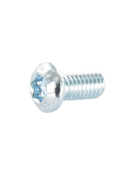 Parafuso de metais cabeça panela TORX T30 M6X20 Classe 8.8 Aço zinco branco