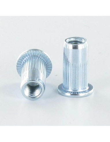 Porcas Rebite cabeça plana M10X22 ACPC60 Aço zinco branco